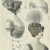 Hairstyles for women, France, 1910s