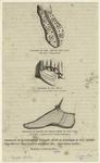 Chaussure de Jean, fils de Saint Louis ; Chaussure du XIIIe siècle ; Chaussure de Philippe de France, frère de Saint Louis