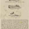 Women's shoes, 1861