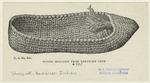 Woven moccasin from Kentucky cave