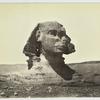 Sphinx at Gizeh