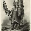 Mandan chief