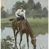 Woman in riding clothes astride a horse drinking from a river