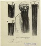 Veil of Egyptian females