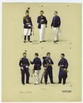 Brazilian military uniforms, 1883-1884