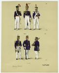 Brazilian military uniforms, 1851