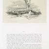 Jenin, ancient Jezreel