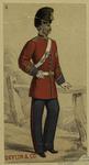British soldier, 19th century
