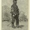 Bugler of cavalry