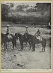 Spanish cavalry scouting in Cuba