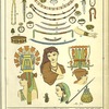 Jewels, adomments