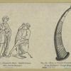 Shepherd's horn, eighth century ; Horn, or olifant, fourteenth century.