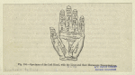 Specimen of the left hand, with the lines and their horoscopic denominations