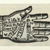 Illustrated hand showing the palm lines read by a palm-reader