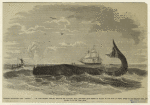 Whaling adventure -- the "flurry"