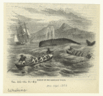 Pursuit of the Greenland whale