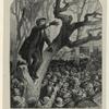 Anarchists' riot in Boston : Morrison I. Swift haranguing the crowd from an elm tree on the Com[mon]