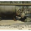 Hippopotamus, Central Park Zoo, N.Y. City