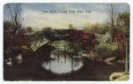 Vine Arch, Central Park, New York.
