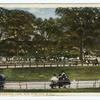 Scene in Central Park, New York City, N. Y.