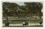 Scene in Central Park, New York City, N. Y.