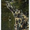 Promenade in Central Park, New York