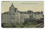 Museum of Natural History, New York