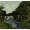 Falls in Bronx Park, New York City