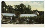 Green house and garden, Bronx Park, New York