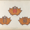 Escudos y viseras