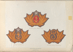 Escudos y viseras
