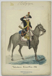 Voluntaire bruxellois, 1789
