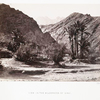 View in the wilderness of Sinai