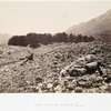 Distant view of the cedars of Lebanon