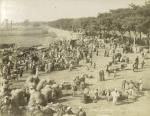 Grand bazar a Kasr-el-Nil Caire