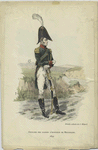 Officier des gardes d'honneur de Bruxelles. 1810