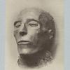 Mummy's head