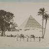 Pyramid, trees and camels with handlers