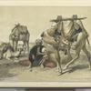Camels resting in the Shekiyeh