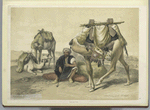 Camels resting in the Shekiyeh