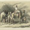 Dromedaries halting in the Eastern desert