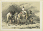 Dromedaries halting in the Eastern desert