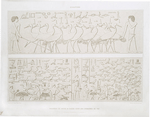 Sculpture : troupeau de grues & basse-cour des domaines de Teï (nécropole de Memphis -- Ve. dynastie)