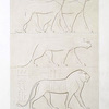 Sculpture : animaux -- race féline (Thèbes -- XVIIe. et XVIIIe. dynasties)