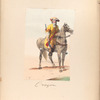Dragon. 1677