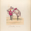 Caballero de linea. 1752