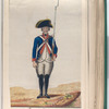 Yann. Año, de 1794 (1797)