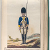 Granaderos Voluntarios de Estado fueron creados Año, de 1794 (1797)