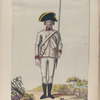 Reyna, 1537. (1797)