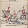 Königl[iche] Spanische Armee. Husaren Regiment Marie Louise. 1801